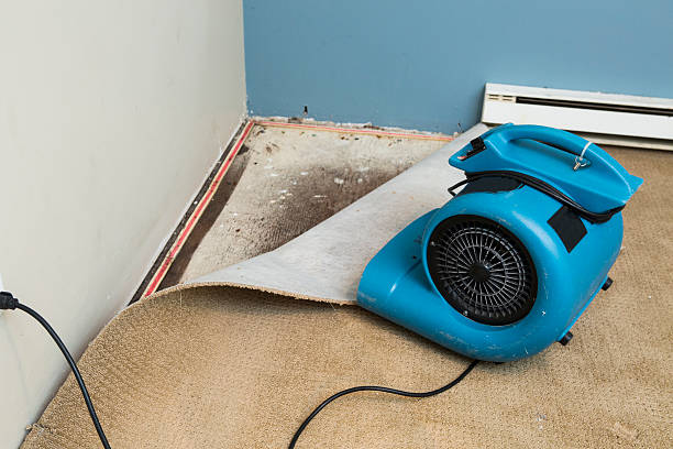 Best Emergency Water Extraction Services in USA
